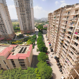 2 BHK Apartment For Rent in Shree Vardhman Green Court, Sector 90