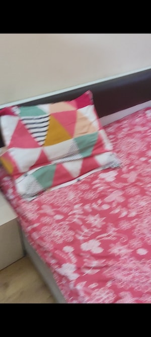 Bedroom in 1 BHK Apartment at Solitairian City Centre, Knowledge Park 3 Greater Noida – for Rent