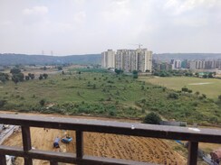 3 BHK Apartment For Sale in Signature Global Golf Greens