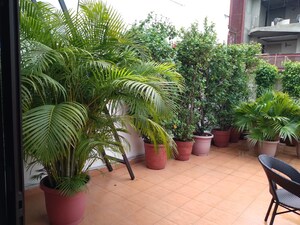 2 BHK Builder Floor – Garden View at Greater Kailash I - for Rent