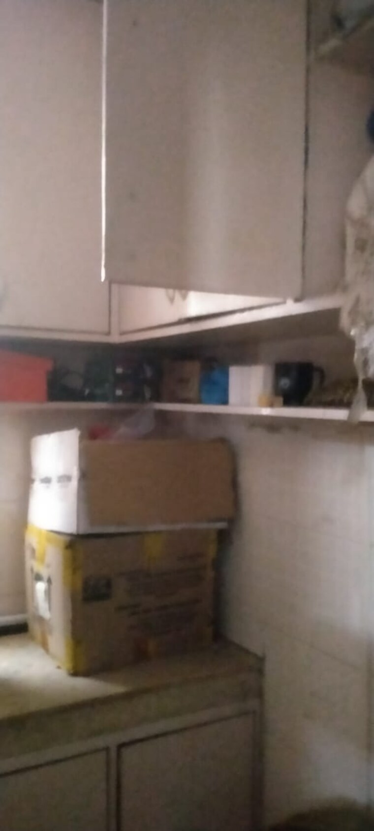 Kitchen, hauz khas 3 Bedroom 2000 Sq.Ft. Builder Floor In Hauz Khas Delhi 9248608