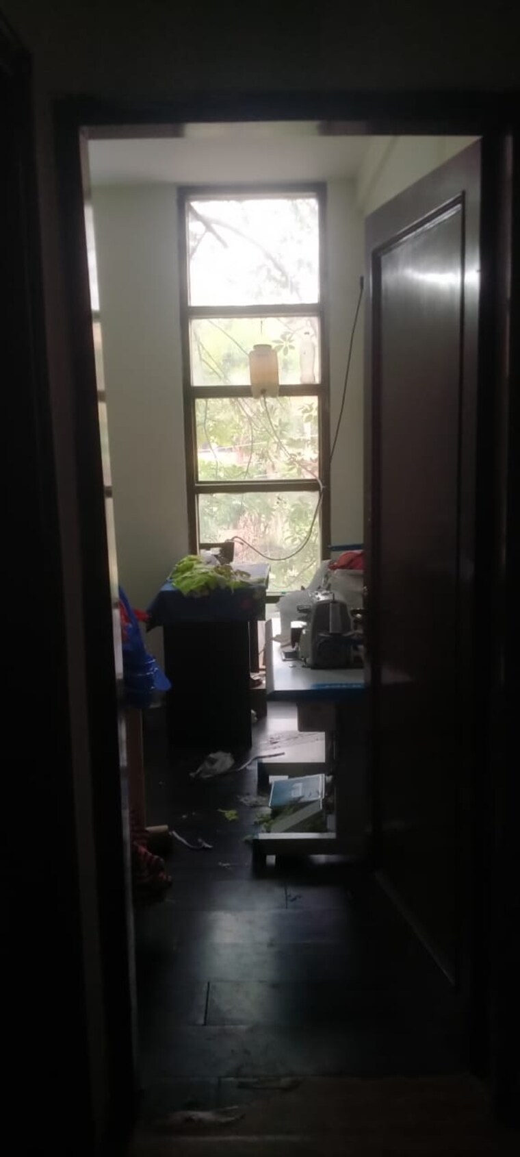 Living Room, hauz khas 3 Bedroom 2000 Sq.Ft. Builder Floor In Hauz Khas Delhi 9248608