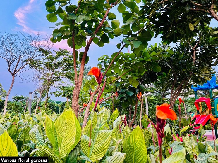 Garden, mapsko-mount-ville 3 Bedroom 1490 Sq.Ft. Apartment In Sector 79 Gurgaon 9248670