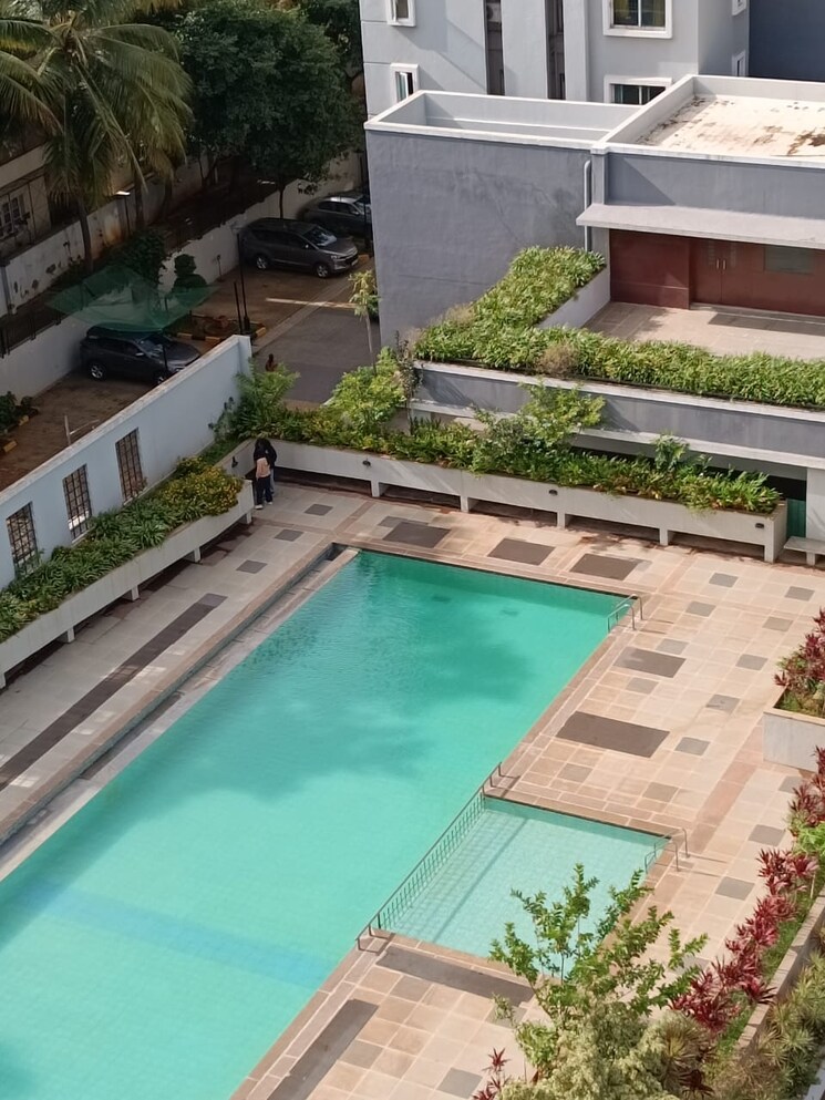 Swimming Pool, brigade-palmsprings 3 Bedroom 1850 Sq.Ft. Apartment In Jp Nagar Bangalore 9248702