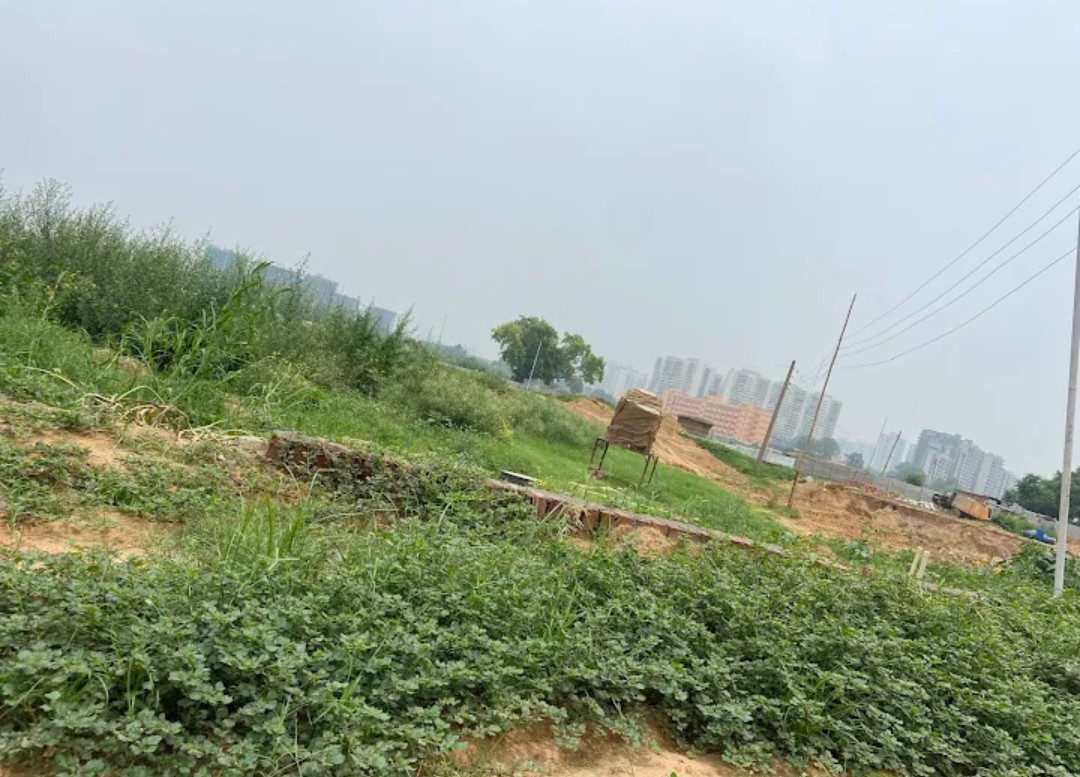 Plot For Sale in GLS Avenue City