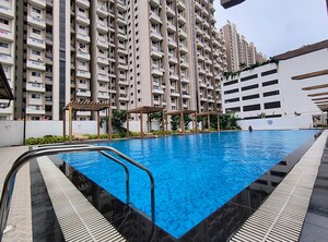 Swimming Pool in 1 BHK Apartment at VTP Cygnus, Kharadi – for Rent