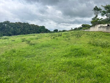  Plot For Sale in Devanahalli