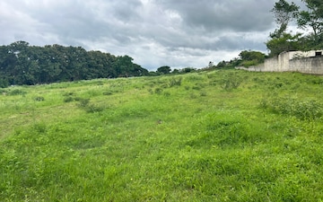 Plot For Sale in Devanahalli