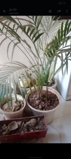 Staircase in 4 BHK Independent House at Uppal Jade, Sector 86 – for Sale