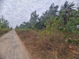  Plot For Sale in Nelamangala - Chikkaballapura Road