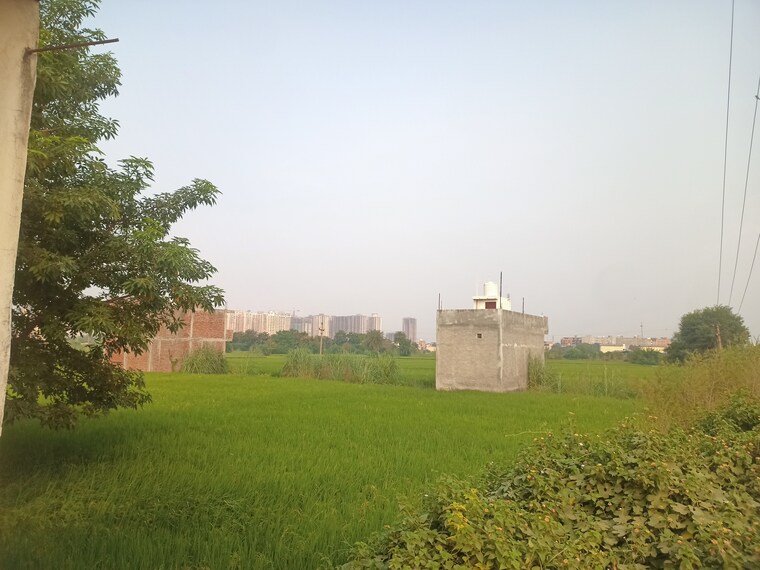 undefined, jalpura  80 Sq.Yd. Plot In Jalpura Greater Noida 9249708