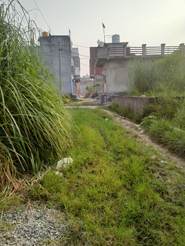 Garden, jalpura  80 Sq.Yd. Plot In Jalpura Greater Noida 9249708