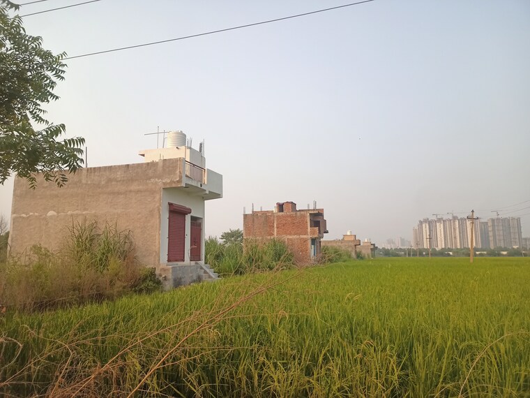 Exterior View, jalpura  80 Sq.Yd. Plot In Jalpura Greater Noida 9249708