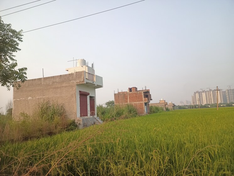 Exterior View, jalpura  50 Sq.Yd. Plot In Jalpura Greater Noida 9249712