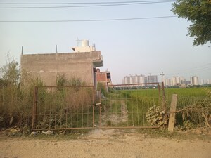  Plot – Exterior View View at Jalpura - for Sale