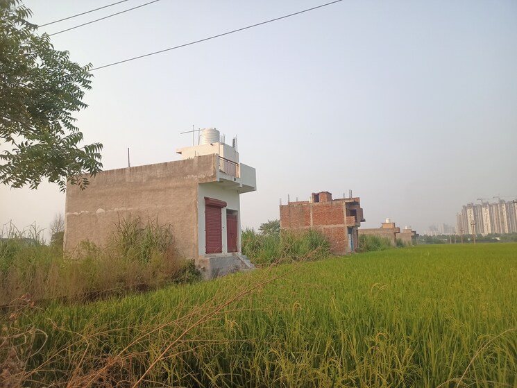 Exterior View, jalpura  50 Sq.Yd. Plot In Jalpura Greater Noida 9249712