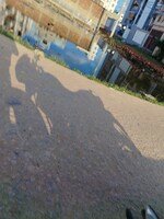 1920 Sq.Ft. Plot in Mig Hanuman Nagar