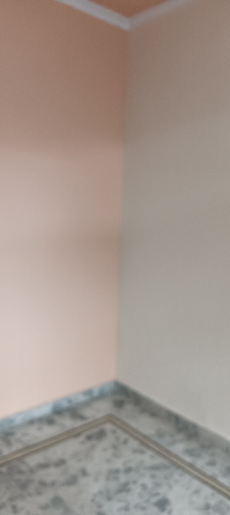 undefined, sector 21c 3 Bedroom 1450 Sq.Ft. Apartment In Sector 21c Faridabad 9249821