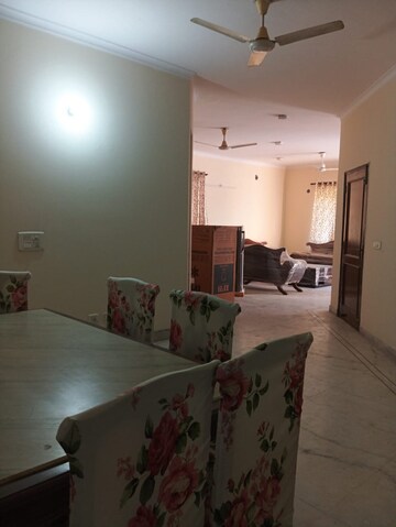 Living Room in 3 BHK Independent House at Sector 23a – for Rent