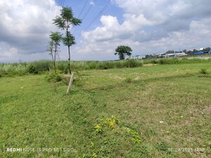  Plot For Sale in Sahaspur