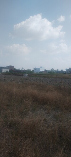  Plot For Sale in Noida Greater Noida Expressway