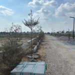 111 Sq.Yd. Plot in Bank Officer Colony 