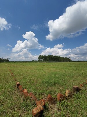 Plot Area in  Plot at Delhi Road – for Sale