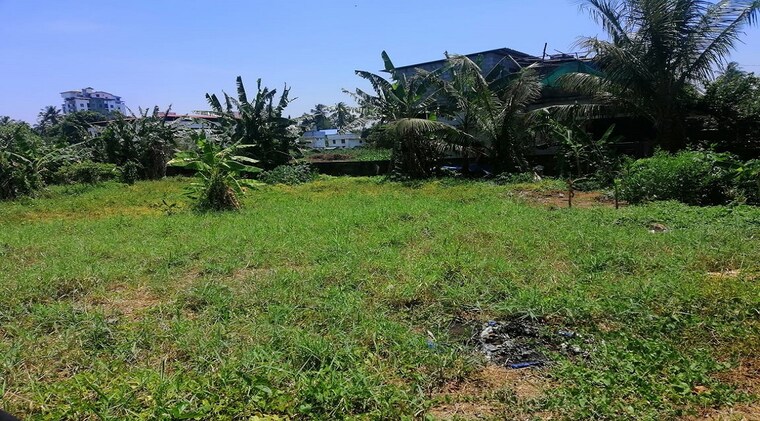 Garden, marathakkara  32671 Sq.Ft. Plot In Marathakkara Thrissur 9250065