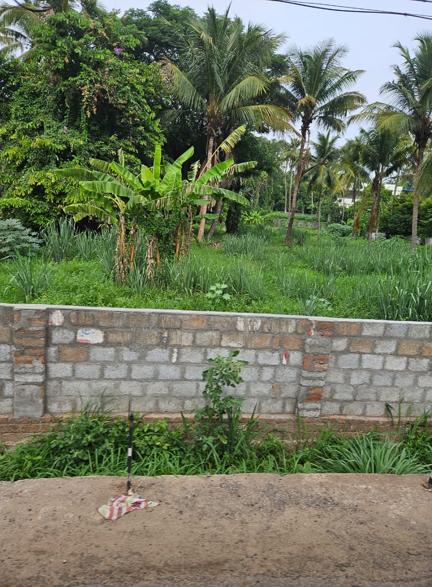 Plot For Sale in Marathakkara