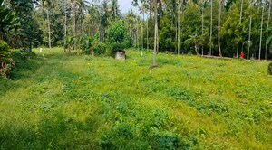 Plot Area in  Plot at Marathakkara – for Sale