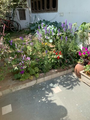  Plot – Exterior View View at Experion The Westerlies, Sector 108 - for Sale