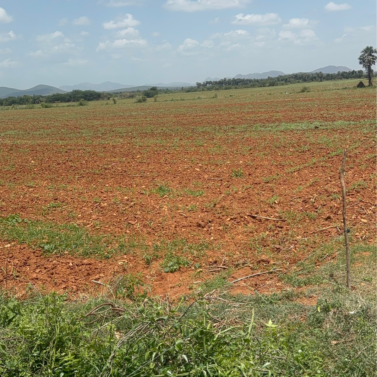 Plot For Sale in Mangalagiri