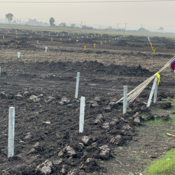 Plot Area in  Plot at Kankipadu – for Sale