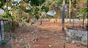 Plot Area in  Plot at Cheroor – for Sale