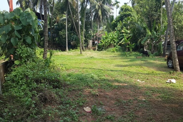 Garden, cheroor  5228 Sq.Ft. Plot In Cheroor Thrissur 9250153