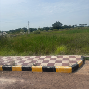 Plot Area in  Plot at SSP Sree City Legend, Punadipadu – for Sale
