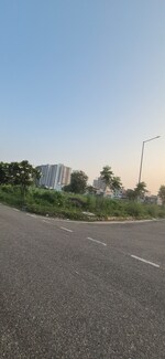 250 Sq.Yd. Plot in Aerocity 