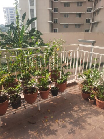 Balcony in 3 BHK Apartment at Wakad – for Rent