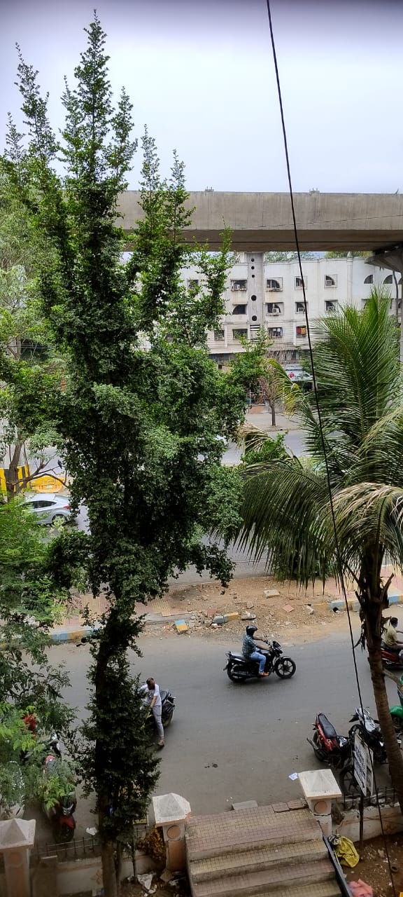 1 BHK + Extra Room Apartment For Rent in Raunak Bliss