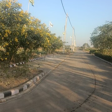 Plot Area in  Plot at Sector 78 – for Sale