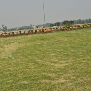 Plot Area in  Plot at Sector 78 – for Sale