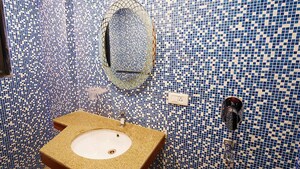 Bathroom in 1 RK Apartment at Sector 14 – for Rent