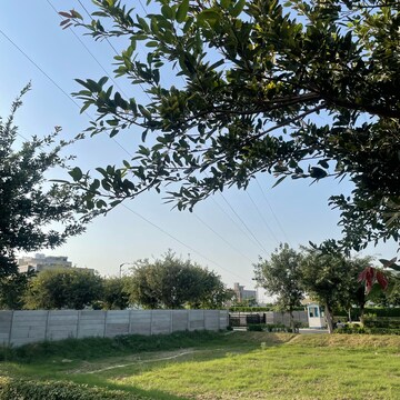 Plot Area in  Plot at BPTP Parkland, Sector 75 – for Sale