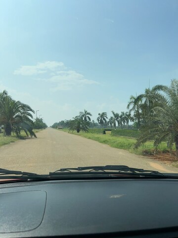 Plot Area in  Plot at Bhogapuram – for Sale
