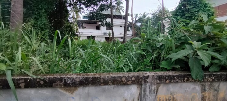 undefined, kalathode  4356 Sq.Ft. Plot In Kalathode Thrissur 9250662