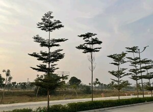  Plot – Exterior View View at Orris Woodview Residencies, Sector 89 - for Sale