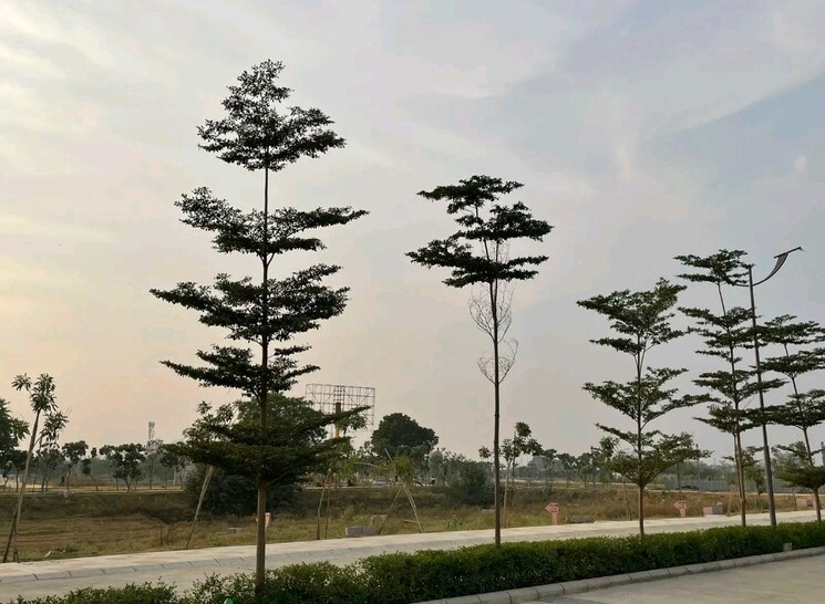 Exterior View, orris-woodview-residencies  240 Sq.Yd. Plot In Sector 89 Gurgaon 9250827