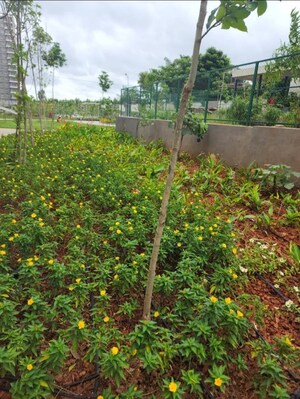 3 BHK Apartment – Garden View at Godrej Aqua, International Airport Road - for Sale