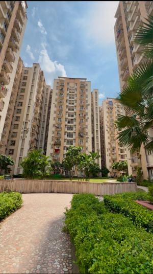 2 BHK Apartment For Rent in Shree Vardhman Mantra, Ramgarh Dhani