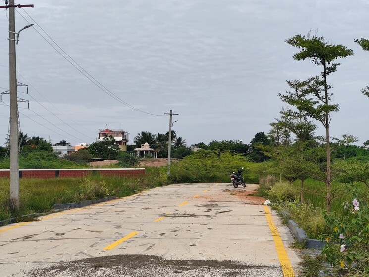 Garden, dheeran nagar  2796 Sq.Ft. Plot In Dheeran Nagar Trichy 9251079